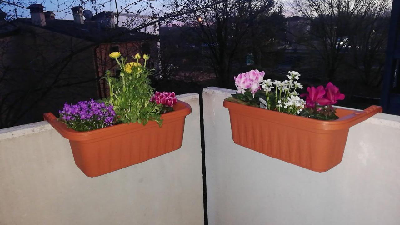 Appartamento Con Due Camere Da Letto E Free Park Verona Exterior photo