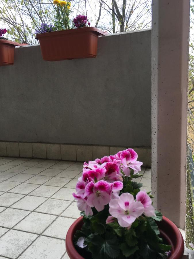 Appartamento Con Due Camere Da Letto E Free Park Verona Exterior photo